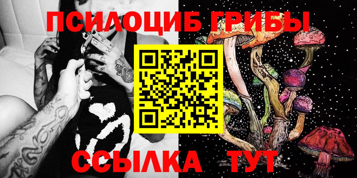 Кизилюрт  Галлюциногенные грибы мицелий  Псилоцибиновые грибы Cubensis  Вход с VPN 
